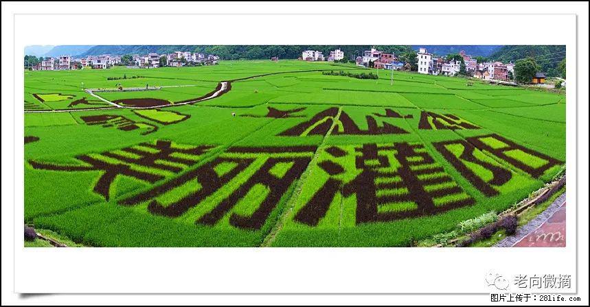 【春天,广西桂林灌阳县向您发出邀请!】开篇 - 游山玩水 - 巴音郭楞生活社区 - 巴音郭楞28生活网 bygl.28life.com