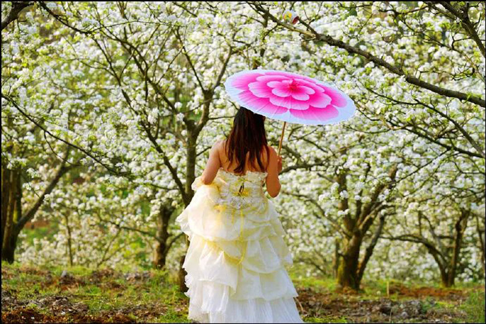 【春天,广西桂林灌阳县向您发出邀请!】我们在灌阳看梨花 - 游山玩水 - 巴音郭楞生活社区 - 巴音郭楞28生活网 bygl.28life.com