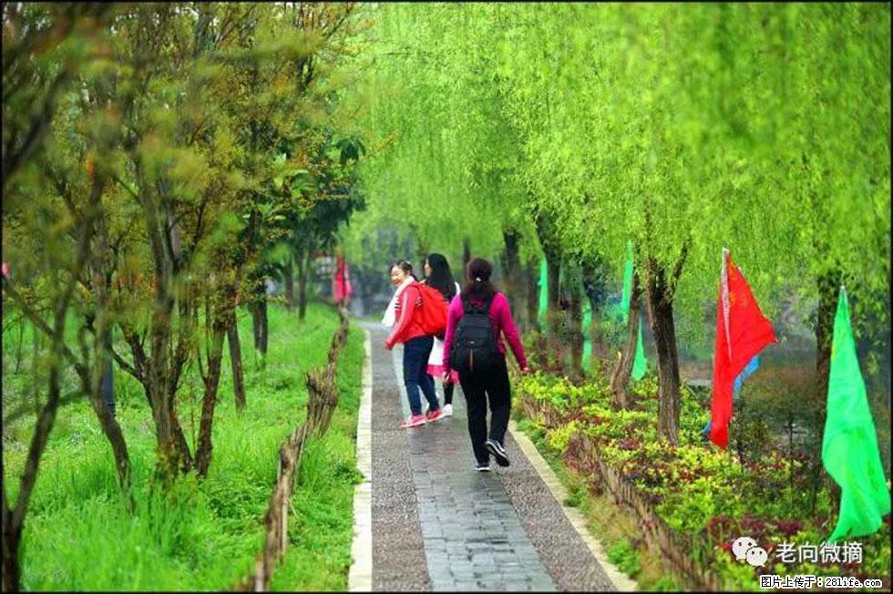 【春天,广西桂林灌阳县向您发出邀请!】江口老街又逢春 - 游山玩水 - 巴音郭楞生活社区 - 巴音郭楞28生活网 bygl.28life.com