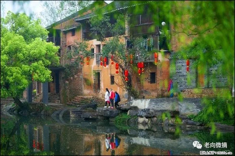 【春天,广西桂林灌阳县向您发出邀请!】江口老街又逢春 - 游山玩水 - 巴音郭楞生活社区 - 巴音郭楞28生活网 bygl.28life.com