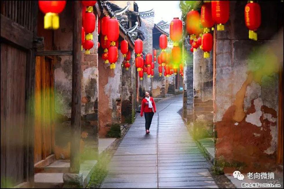 【春天,广西桂林灌阳县向您发出邀请!】江口老街又逢春 - 游山玩水 - 巴音郭楞生活社区 - 巴音郭楞28生活网 bygl.28life.com