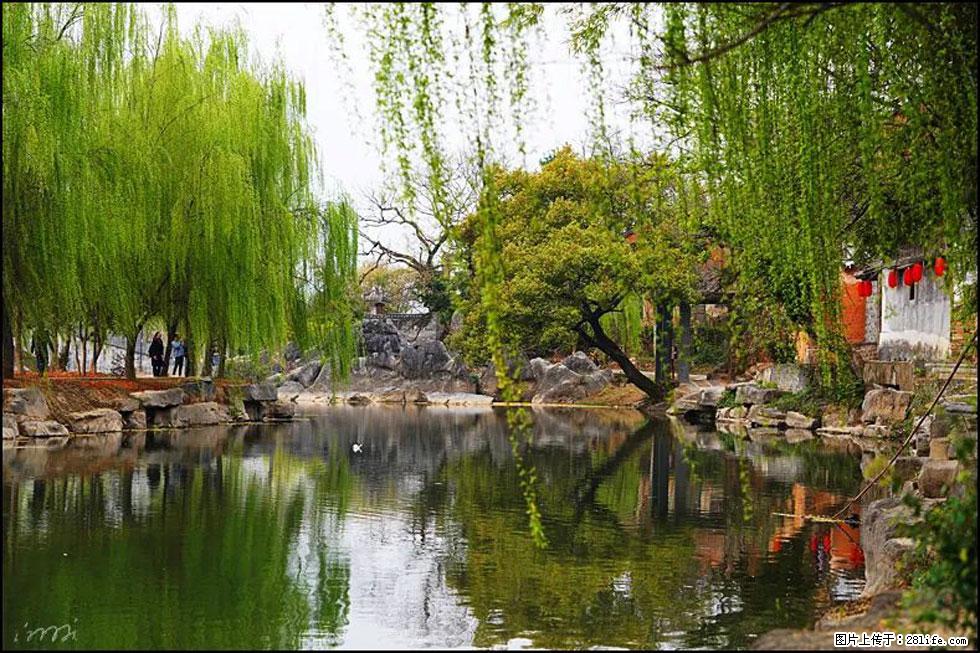 【春天,广西桂林灌阳县向您发出邀请!】江口老街又逢春 - 游山玩水 - 巴音郭楞生活社区 - 巴音郭楞28生活网 bygl.28life.com