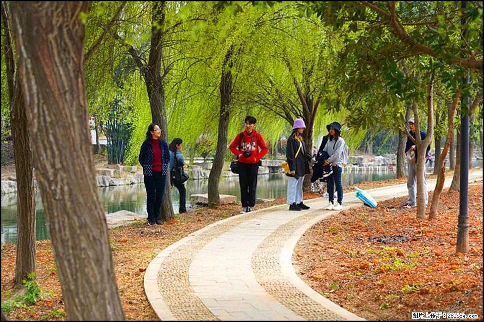 【春天,广西桂林灌阳县向您发出邀请!】江口老街又逢春 - 游山玩水 - 巴音郭楞生活社区 - 巴音郭楞28生活网 bygl.28life.com