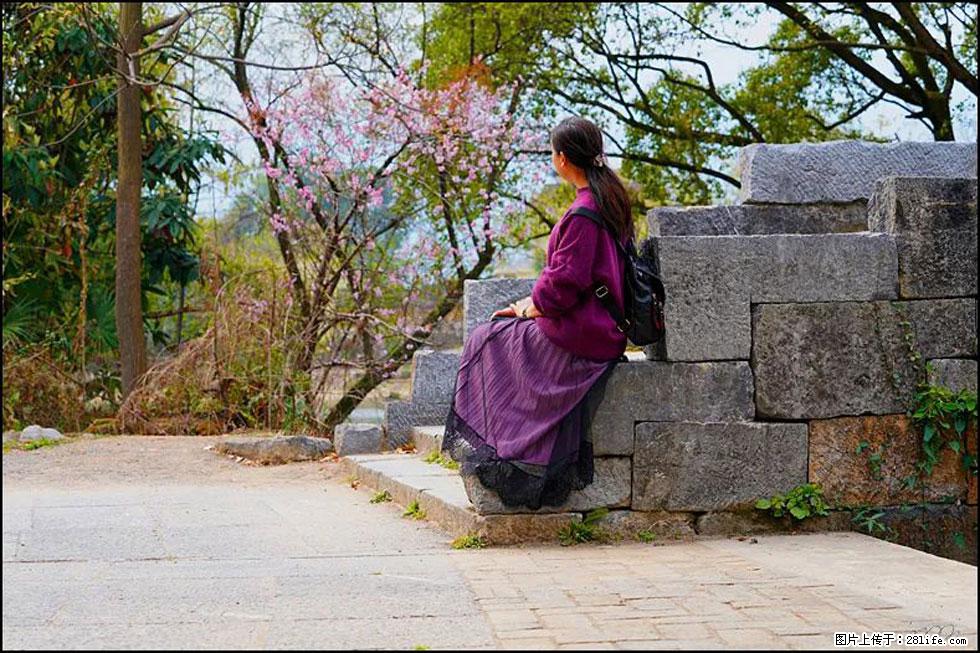 【春天,广西桂林灌阳县向您发出邀请!】江口老街又逢春 - 游山玩水 - 巴音郭楞生活社区 - 巴音郭楞28生活网 bygl.28life.com