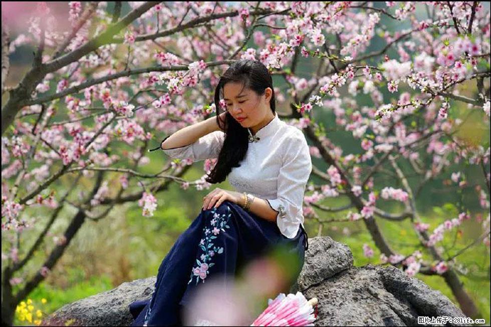 【春天,广西桂林灌阳县向您发出邀请!】望月岭上桃花开 - 游山玩水 - 巴音郭楞生活社区 - 巴音郭楞28生活网 bygl.28life.com