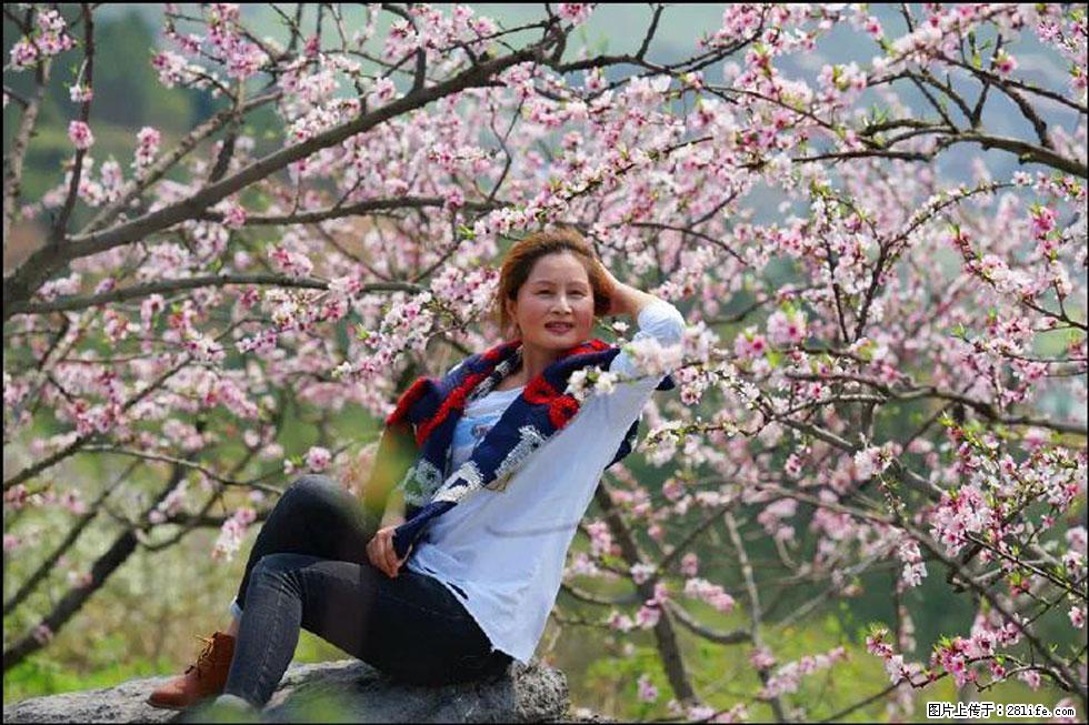 【春天,广西桂林灌阳县向您发出邀请!】望月岭上桃花开 - 游山玩水 - 巴音郭楞生活社区 - 巴音郭楞28生活网 bygl.28life.com