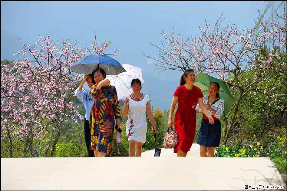 【春天,广西桂林灌阳县向您发出邀请!】望月岭上桃花开 - 游山玩水 - 巴音郭楞生活社区 - 巴音郭楞28生活网 bygl.28life.com