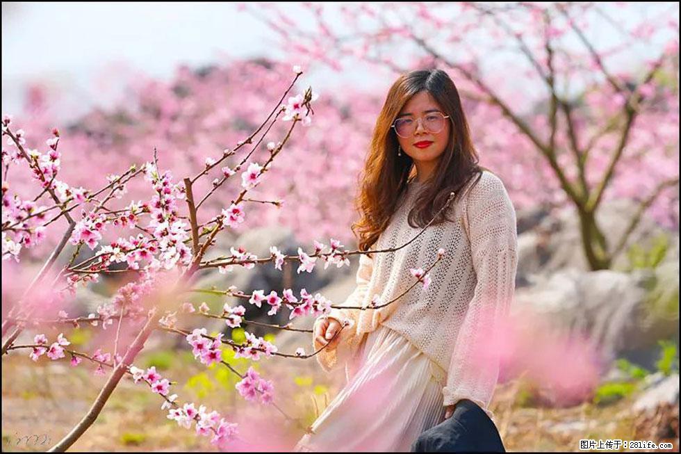 【春天,广西桂林灌阳县向您发出邀请!】望月岭上桃花开 - 游山玩水 - 巴音郭楞生活社区 - 巴音郭楞28生活网 bygl.28life.com
