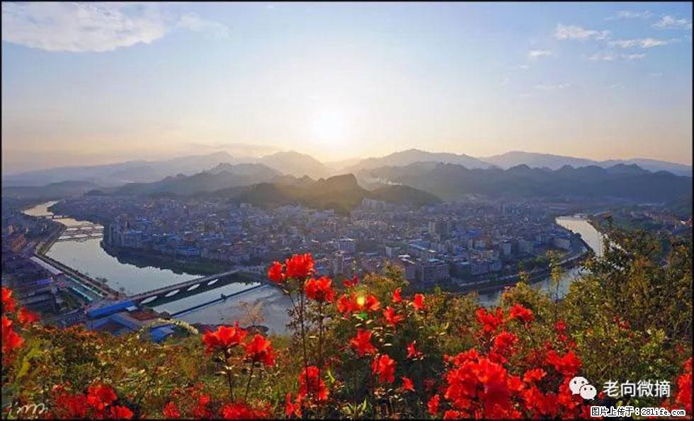 【春天，广西桂林灌阳县向您发出邀请！】登麒麟山，相约映山红 - 游山玩水 - 巴音郭楞生活社区 - 巴音郭楞28生活网 bygl.28life.com