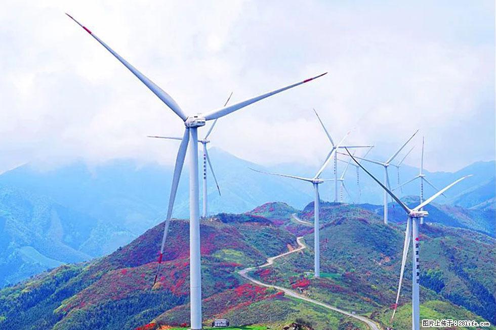 【春天，广西桂林灌阳县向您发出邀请！】春木界上映山红 - 游山玩水 - 巴音郭楞生活社区 - 巴音郭楞28生活网 bygl.28life.com