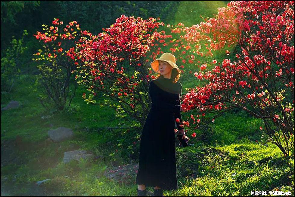 【春天，广西桂林灌阳县向您发出邀请！】春木界上映山红 - 游山玩水 - 巴音郭楞生活社区 - 巴音郭楞28生活网 bygl.28life.com