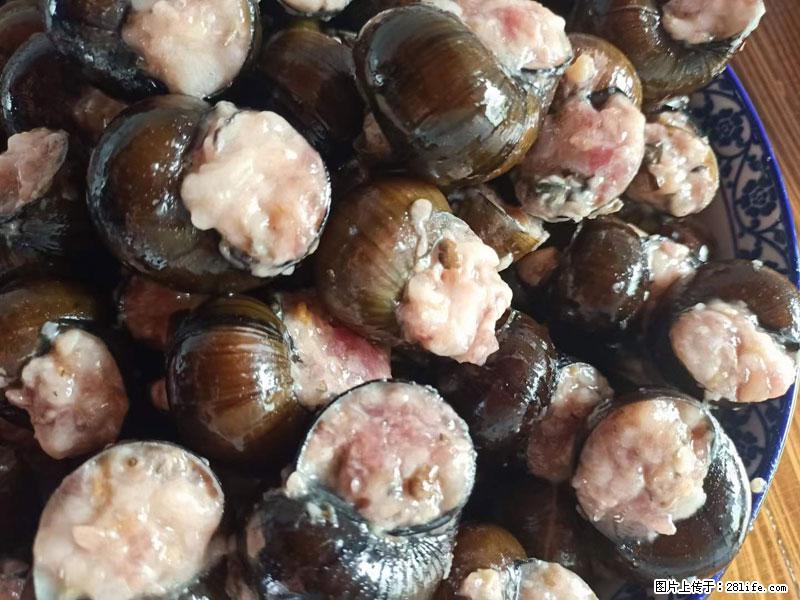 （舌尖上的乡村）灌阳：让人口齿留香的田螺酿 - 2023年07月31日 桂林日报第6版刊发 - 美食天地 - 巴音郭楞生活社区 - 巴音郭楞28生活网 bygl.28life.com