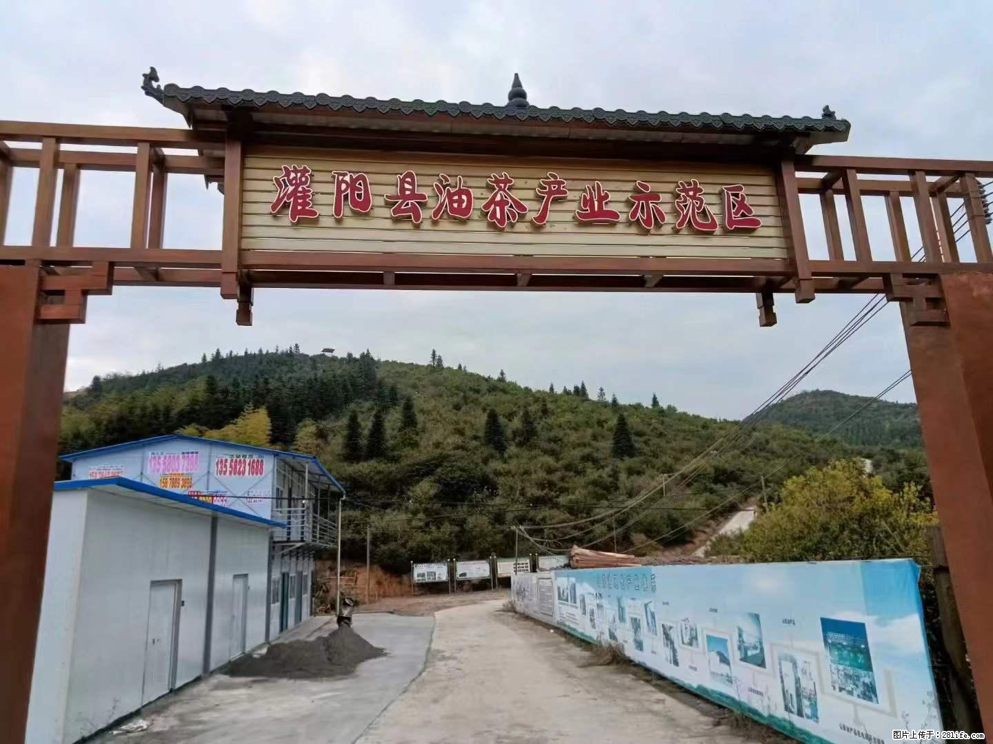 【灌阳县油茶产业示范区】一个有着充实的精神生活的人，对待身外之物自会有一种淡泊的态度 - 土特产 - 饮食特产 - 巴音郭楞分类信息 - 巴音郭楞28生活网 bygl.28life.com