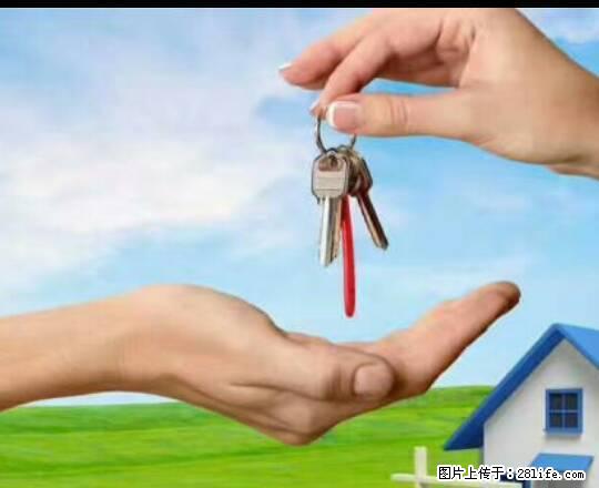 新市政府旁望湖家园65平1室1厅。 - 房屋出租 - 房屋租售 - 巴音郭楞分类信息 - 巴音郭楞28生活网 bygl.28life.com