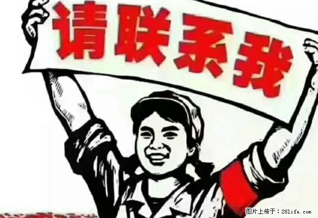 梨乡中学旁金色港湾144平两室两厅两卫 - 房屋出租 - 房屋租售 - 巴音郭楞分类信息 - 巴音郭楞28生活网 bygl.28life.com