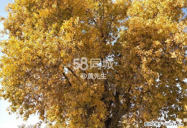 五星花园 2室2厅1卫 - 房屋出租 - 房屋租售 - 巴音郭楞分类信息 - 巴音郭楞28生活网 bygl.28life.com