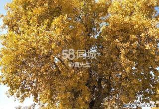 五星花园 2室2厅1卫 - 巴音郭楞28生活网 bygl.28life.com