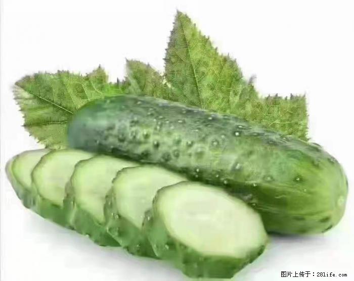 【生活小常识】吃黄瓜的好处 - 生活百科 - 巴音郭楞生活社区 - 巴音郭楞28生活网 bygl.28life.com