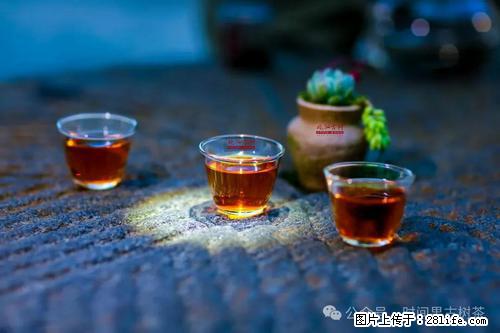 时间果百年古树2025年春红茶 - 购物交流 - 巴音郭楞生活社区 - 巴音郭楞28生活网 bygl.28life.com