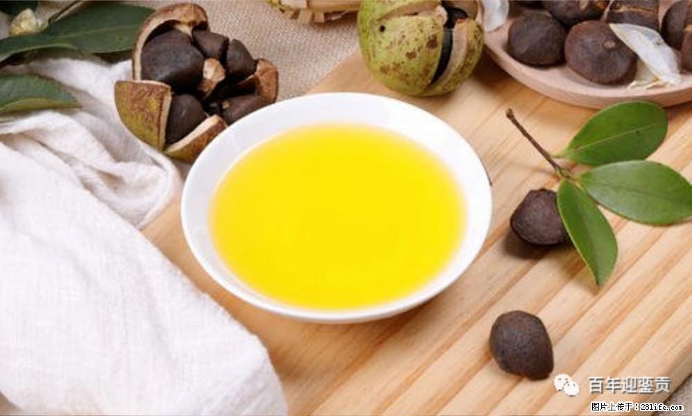 揭秘茶油的5大核心营养成分!被称为人体健康的“守护盾”! - 巴音郭楞生活资讯 - 巴音郭楞28生活网 bygl.28life.com