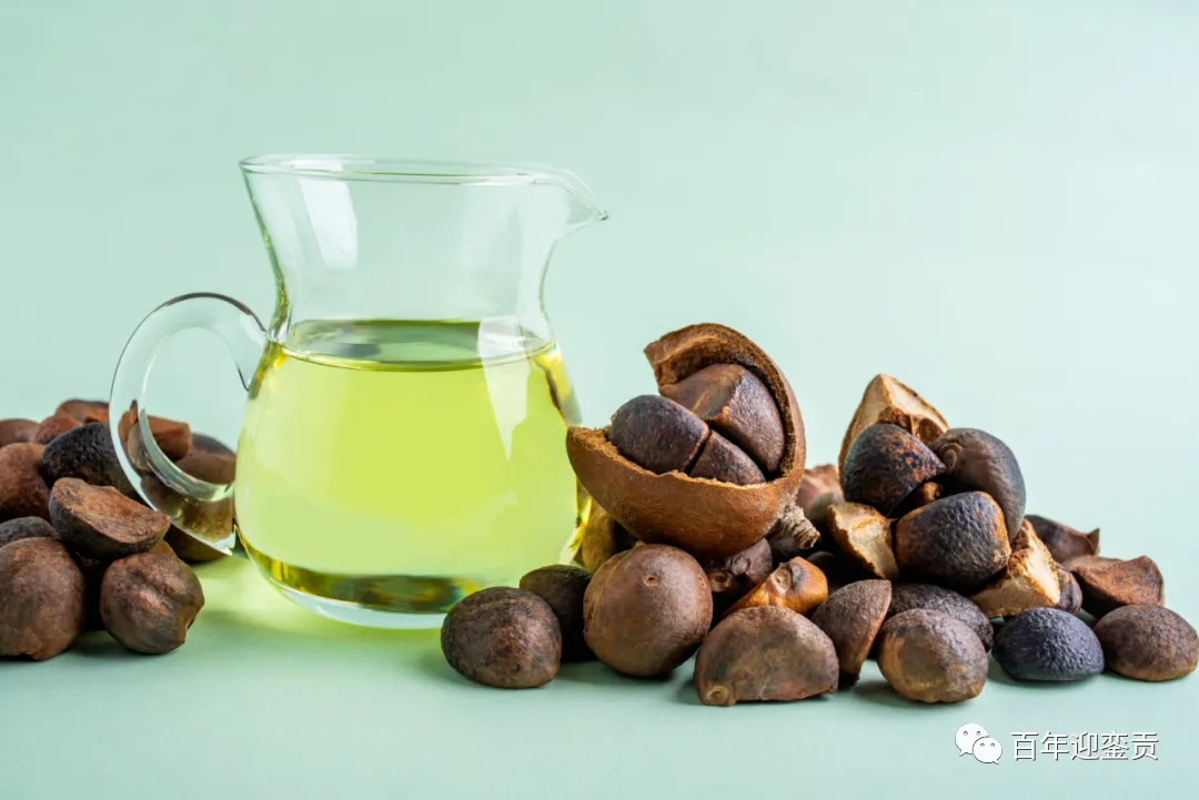 世界没有真相,只有认知,最好的食用油是中国的山茶油! - 巴音郭楞生活资讯 - 巴音郭楞28生活网 bygl.28life.com