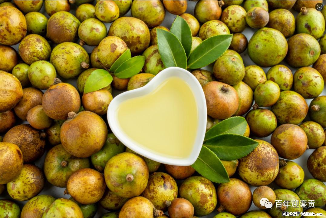 世界没有真相,只有认知,最好的食用油是中国的山茶油! - 巴音郭楞生活资讯 - 巴音郭楞28生活网 bygl.28life.com