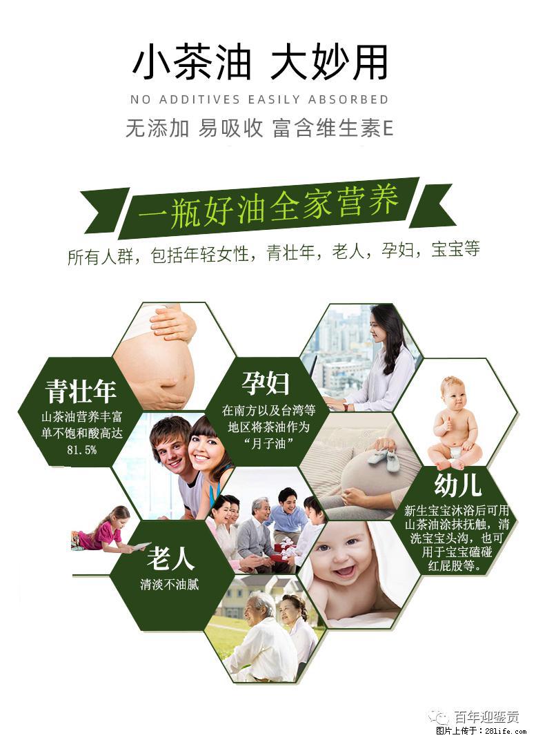 世界没有真相,只有认知,最好的食用油是中国的山茶油! - 巴音郭楞生活资讯 - 巴音郭楞28生活网 bygl.28life.com