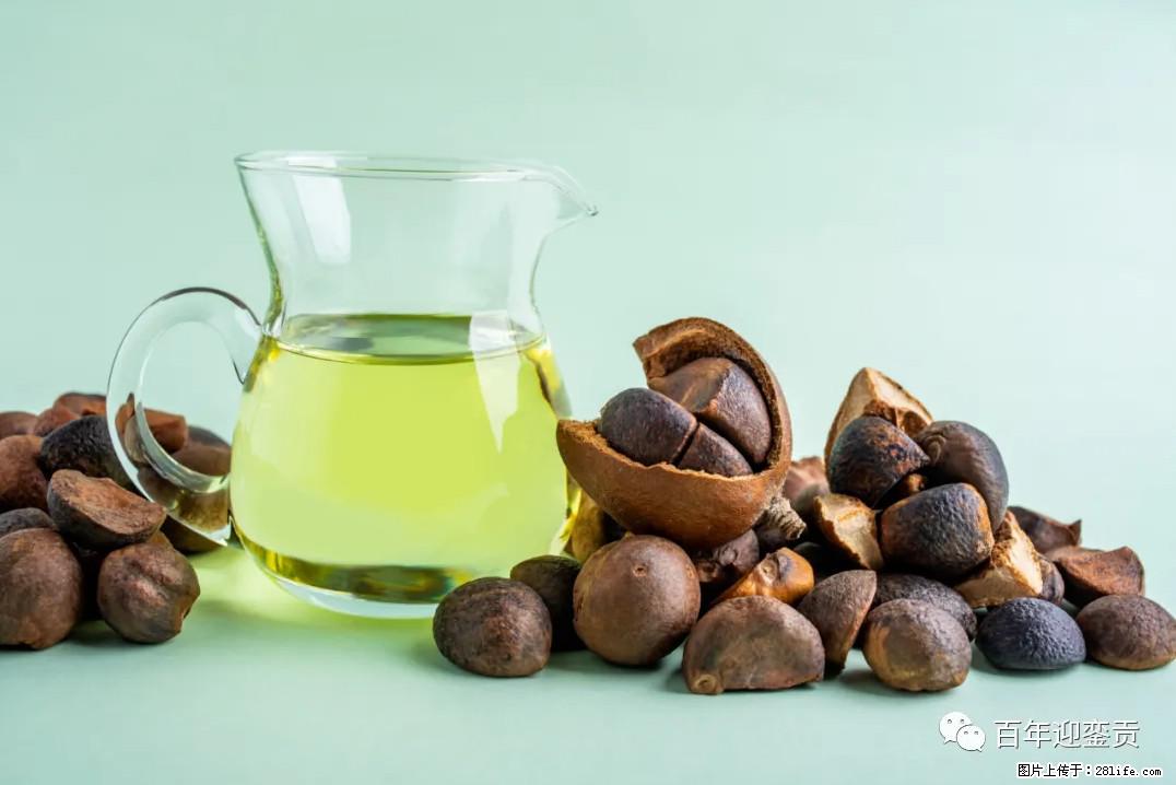 世界没有真相，只有认知，最好的食用油是中国的山茶油！ - 巴音郭楞生活资讯 - 巴音郭楞28生活网 bygl.28life.com