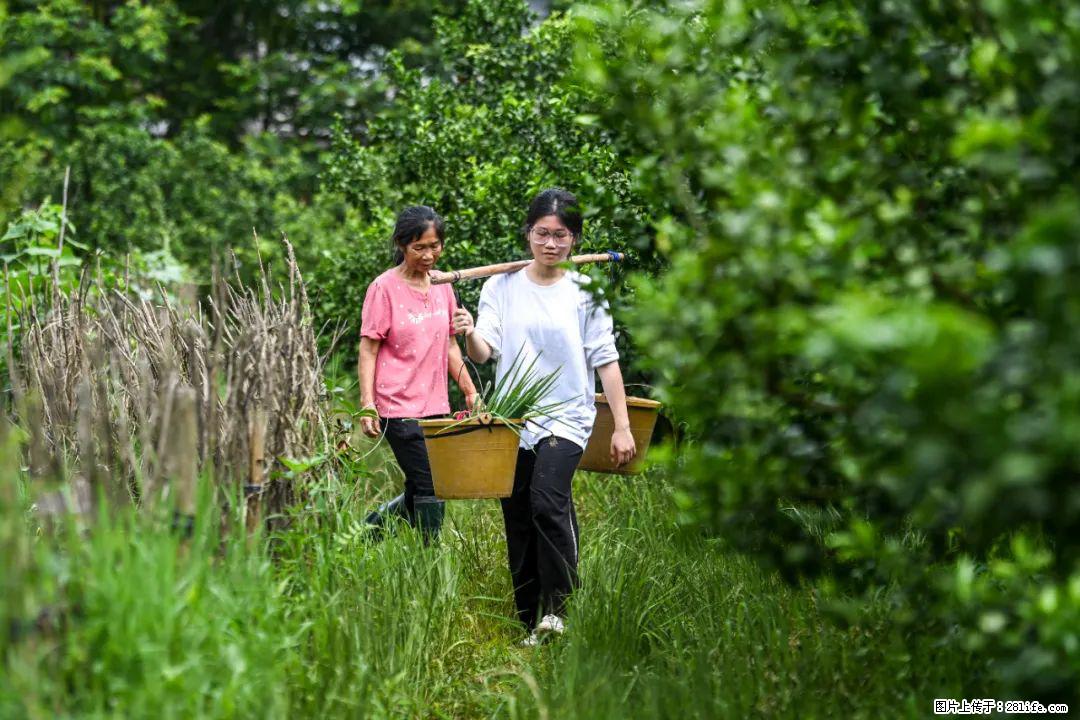 全网追的“扁担女孩”,找了一份暑假工,时薪12元 - 巴音郭楞生活资讯 - 巴音郭楞28生活网 bygl.28life.com