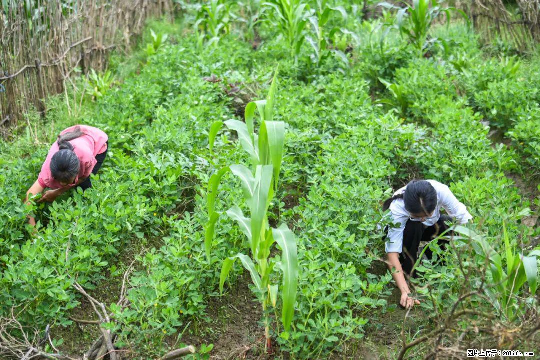 全网追的“扁担女孩”,找了一份暑假工,时薪12元 - 巴音郭楞生活资讯 - 巴音郭楞28生活网 bygl.28life.com