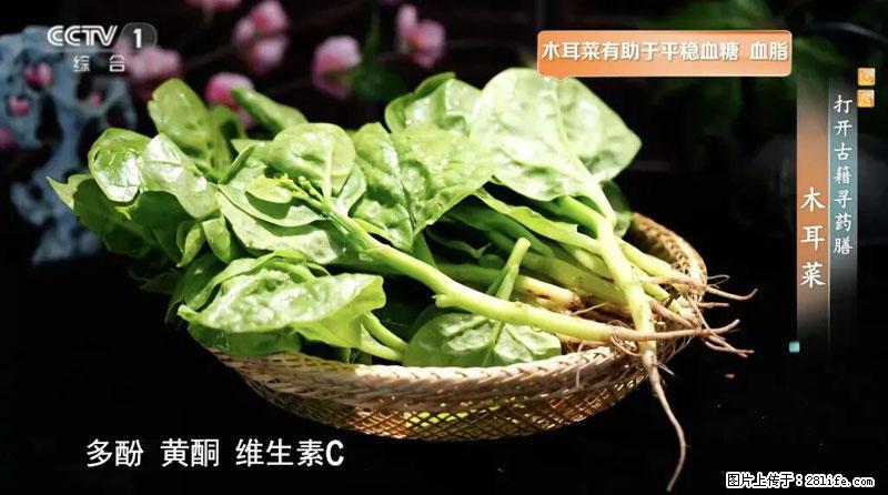 比牛奶补钙还厉害!凉血解毒、稳血糖...这菜冬天必吃,很多人却当草 - 巴音郭楞生活资讯 - 巴音郭楞28生活网 bygl.28life.com