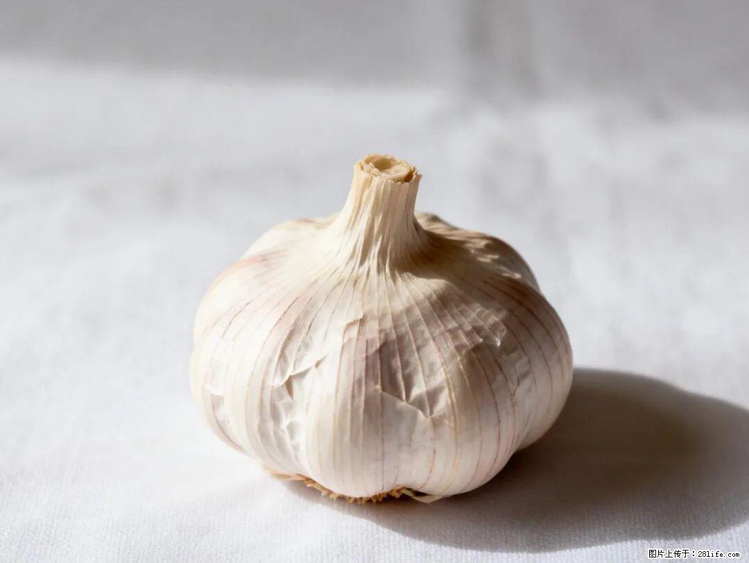 关于大蒜，除了“天然抗生素”，这4个谣言更该警惕! - 巴音郭楞生活资讯 - 巴音郭楞28生活网 bygl.28life.com