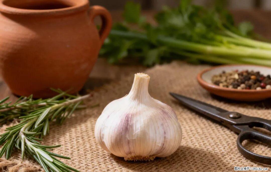 关于大蒜，除了“天然抗生素”，这4个谣言更该警惕! - 巴音郭楞生活资讯 - 巴音郭楞28生活网 bygl.28life.com
