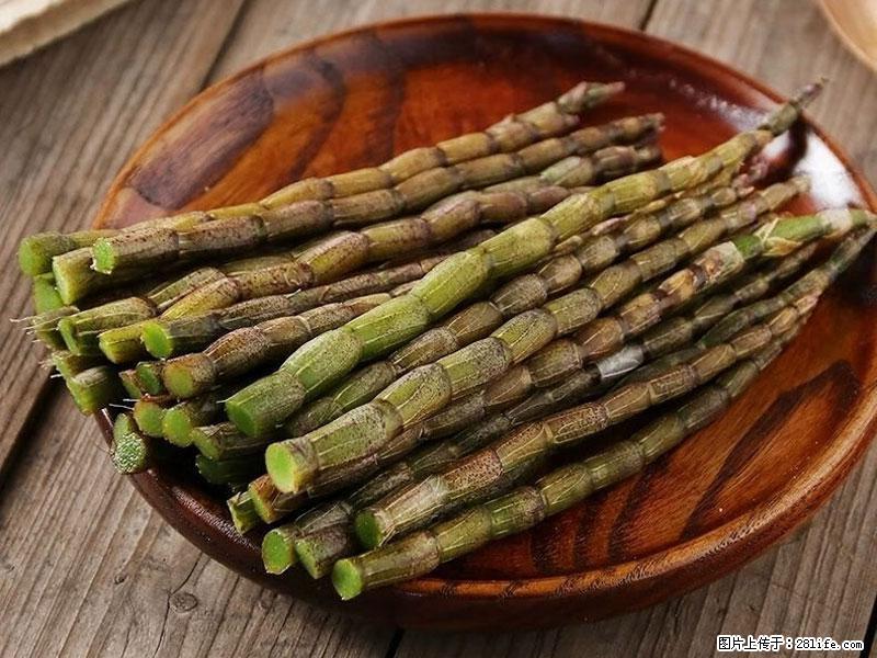 铁皮石斛的作用与功能主治 - 巴音郭楞生活资讯 - 巴音郭楞28生活网 bygl.28life.com