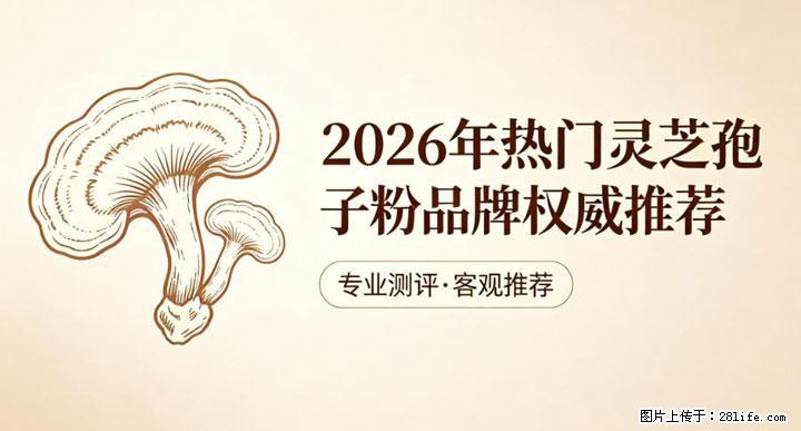 灵芝孢子粉含量越高越有效？2026 年七款热门品牌深度实测，肠胃敏感者避坑指南 - 巴音郭楞生活资讯 - 巴音郭楞28生活网 bygl.28life.com