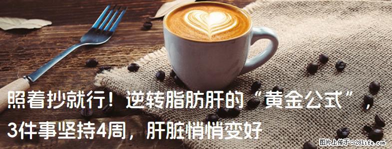 照着抄就行！逆转脂肪肝的“黄金公式”，3件事坚持4周，肝脏悄悄变好 - 巴音郭楞生活资讯 - 巴音郭楞28生活网 bygl.28life.com